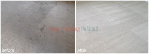 Oakland_CA_CARPET_CLEANING_011