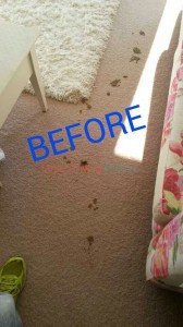 Oakland_CA_CARPET_CLEANING_020