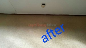 Oakland_CA_CARPET_CLEANING_021