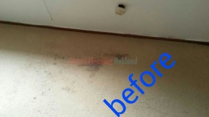 Oakland_CA_CARPET_CLEANING_022
