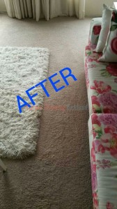 Oakland_CA_CARPET_CLEANING_023