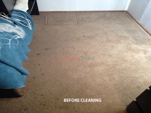 Oakland_CA_CARPET_CLEANING_BEFORE
