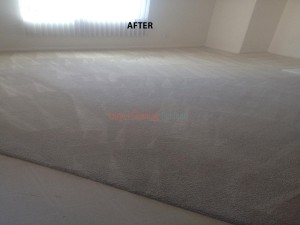 Cleaned Carpet Stains