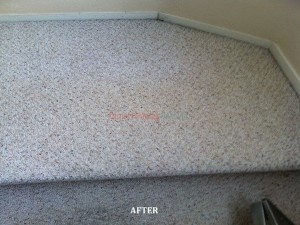 Carpet After Cleaning