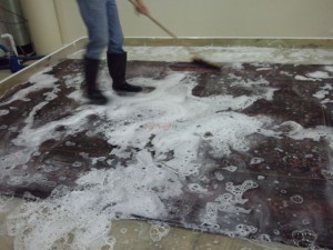 Rug Being Cleaned
