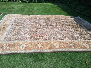 Onsite Rug Cleaning